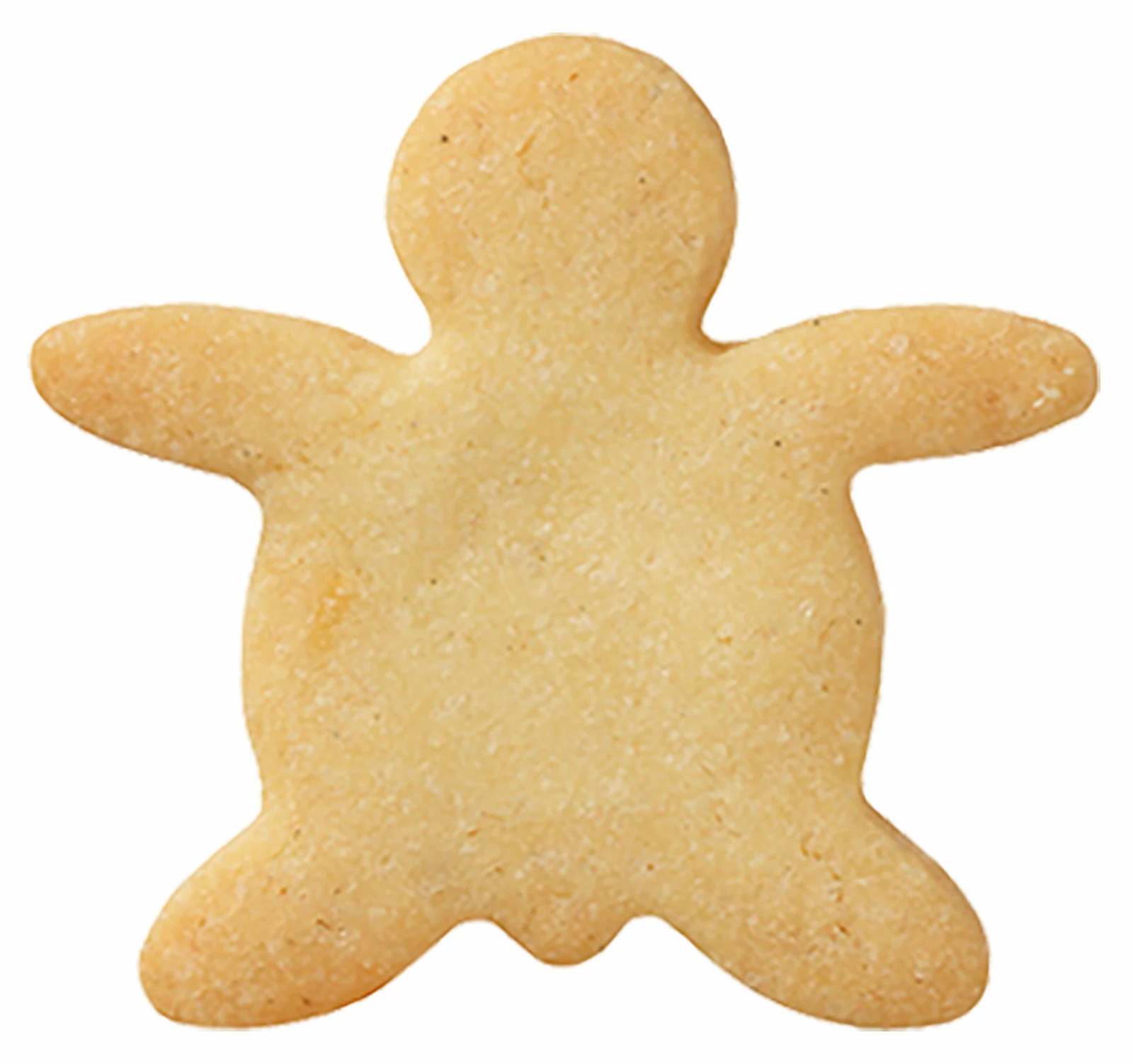 Keksausstecher RBV Birkmann Ausstecher Schildkröte 4,5cm Edelstahl 3 Keksausstecher RBV Birkmann Ausstecher Schildkröte 4,5cm Edelstahl – Bild 3