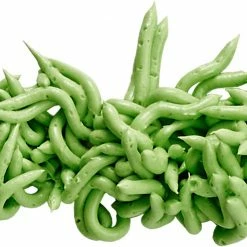 Spritzbeutel & -tüllen RBV Birkmann Spaghettitülle Nr.80 - Ø 2mm -Zetzsche Geschäft IMG100120956 41628