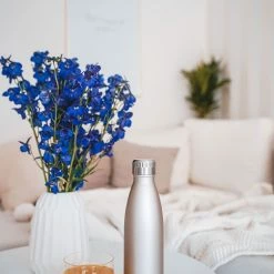 FLSK Isolierflasche 0,75ltr. Champagne Gen-2 -Zetzsche Geschäft IMG100144125 48688