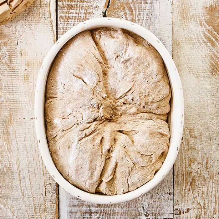 Brotbackzubehör RBV Birkmann Laib & Seele Gärkörbchen Oval 24,5x19cm 2 Brotbackzubehör RBV Birkmann Laib & Seele Gärkörbchen Oval 24,5x19cm – Bild 2